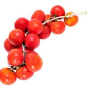Tomate Colgar/ Kg