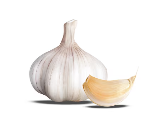 Ajo