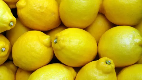 Limón 150g/u - Imagen 2