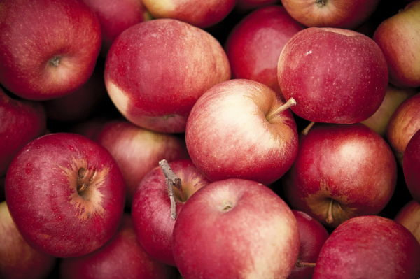 Manzana Roja - Imagen 2