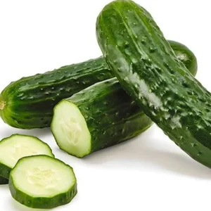 Pepino 200-300g/u
