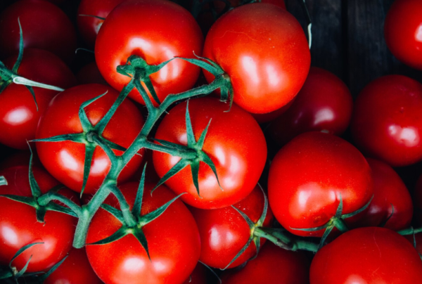 Tomate Rama - Imagen 2